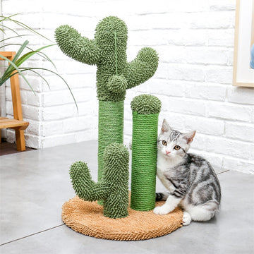Kat Scratch Kactus