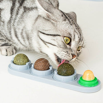 Pet Cat Catnip Wall Ball Cat Toy