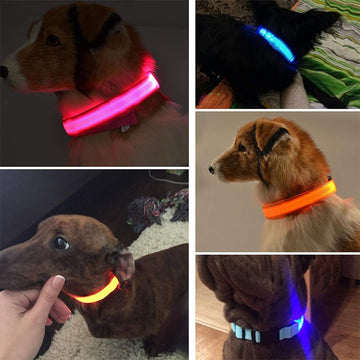 LED Glowing Dog Collars