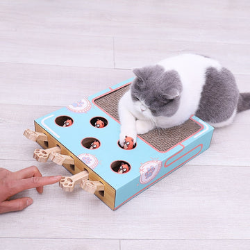 Cat Playing Toy Hamster Machine