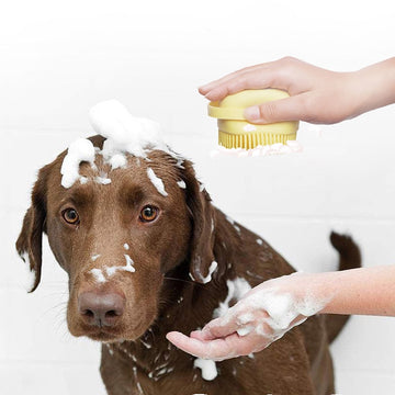 Dog Cat Silicone Bath Brush