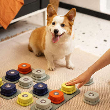 BarkLingo - Doggy Button Set