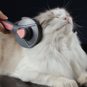 Cat Comb Dog Hair Remover Brush